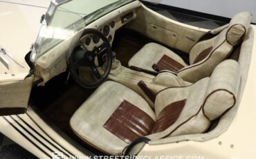 Other-makes-Other-1981-Beige-BGBrown-20