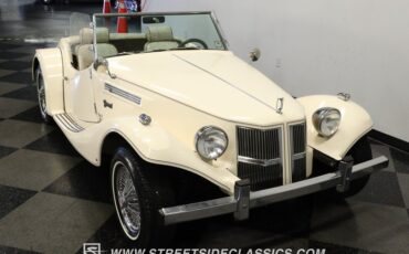 Other-makes-Other-1981-Beige-BGBrown-27
