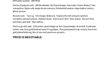 Packard-Hawk-1958-Black-Saddle-1