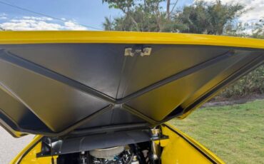 Pantera-detomaso-1974-yellow-7