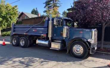 Peterbilt-379-diesel-1990-1