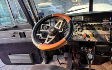 Peterbilt-379-diesel-1995-8