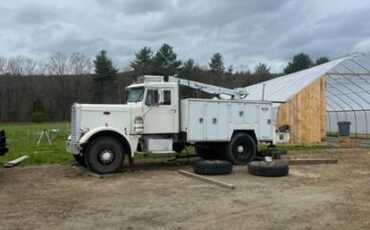 Peterbilt-diesel-1963-white-3
