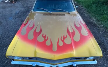 Plymouth-Duster-1973-Coupe-2