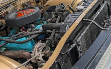 Plymouth-Fury-3-1967-Gold-Black-1