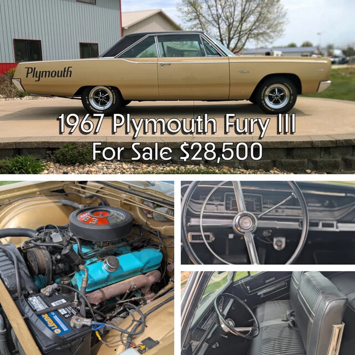 Plymouth-Fury-3-1967-Gold-Black-3