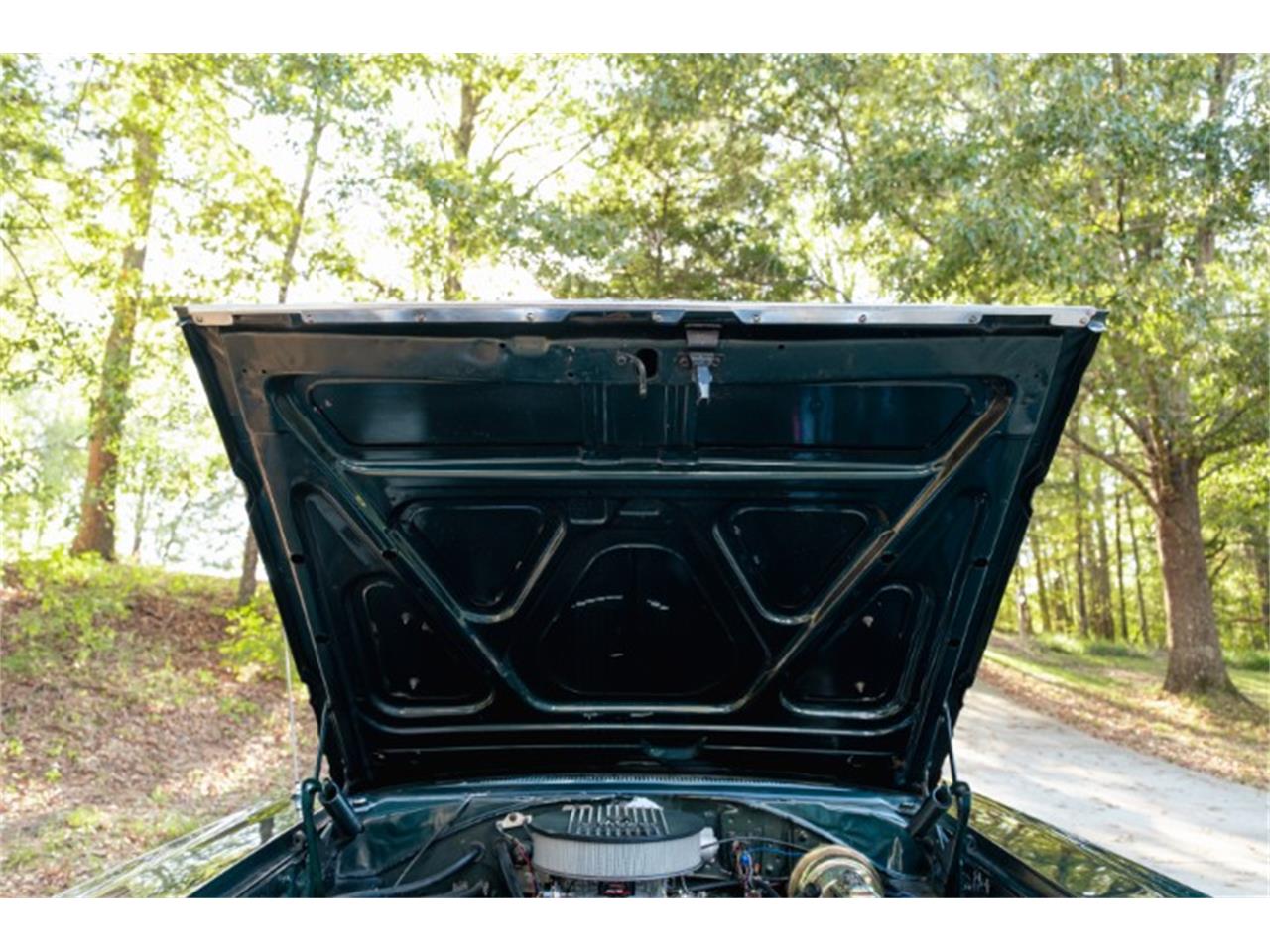 Plymouth-Gtx-1967-Dark-Green-Poly-Black-36