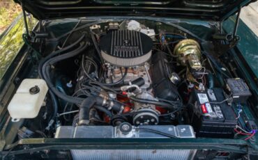 Plymouth-Gtx-1967-Dark-Green-Poly-Black-38