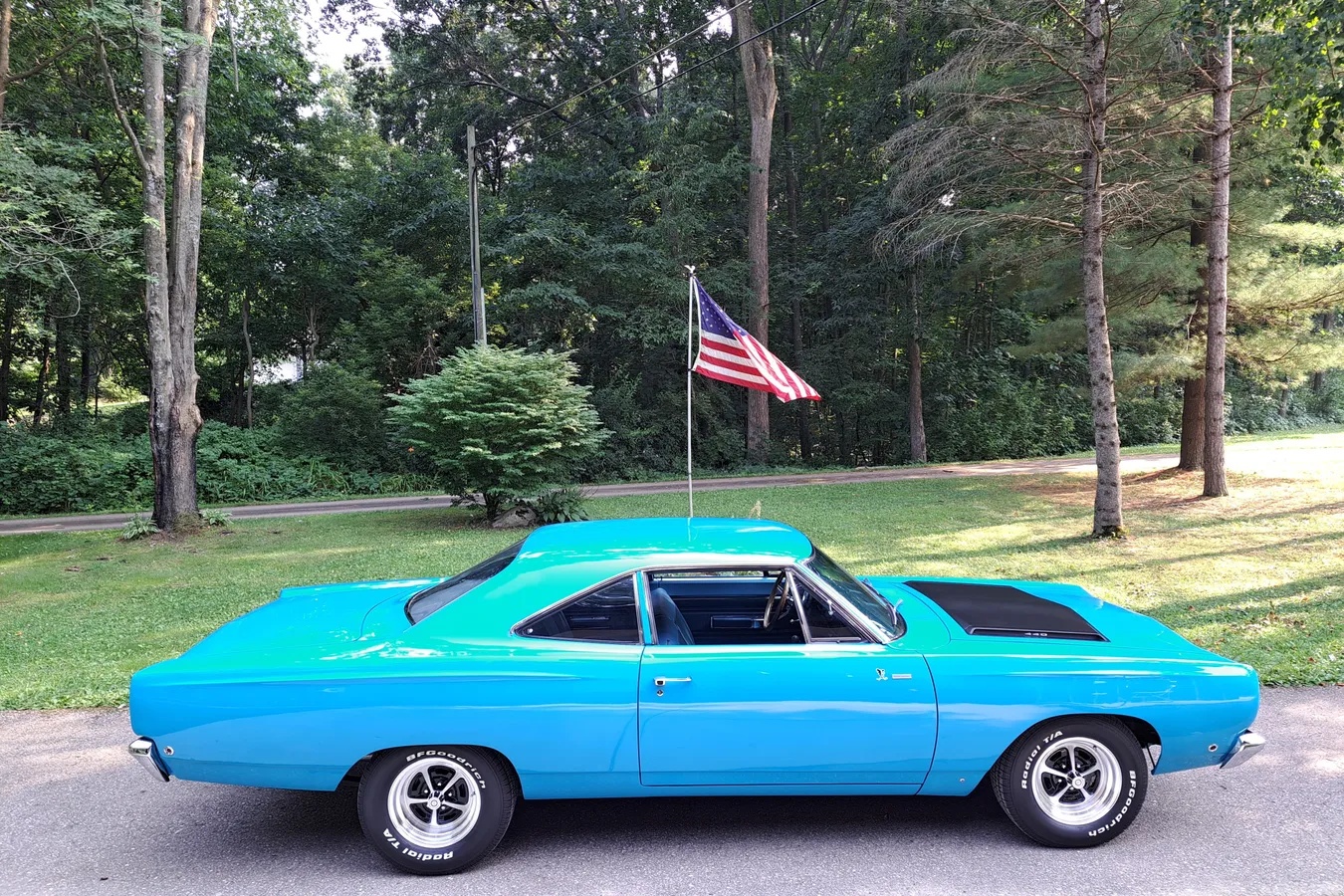Plymouth-Road-runner-1968-Petty-Blue-Blue-6