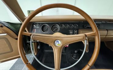 Plymouth-Road-runner-1970-Ivy-Green-Metallic-Tan-12