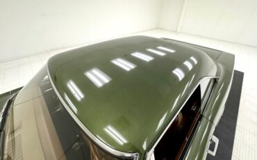 Plymouth-Road-runner-1970-Ivy-Green-Metallic-Tan-24