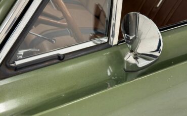 Plymouth-Road-runner-1970-Ivy-Green-Metallic-Tan-25