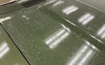 Plymouth-Road-runner-1970-Ivy-Green-Metallic-Tan-29