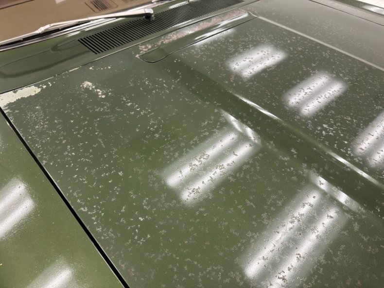 Plymouth-Road-runner-1970-Ivy-Green-Metallic-Tan-29