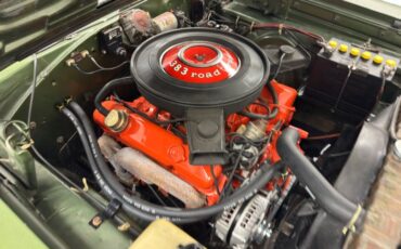 Plymouth-Road-runner-1970-Ivy-Green-Metallic-Tan-36