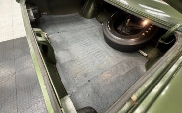 Plymouth-Road-runner-1970-Ivy-Green-Metallic-Tan-41