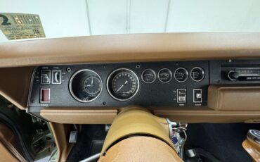 Plymouth-Road-runner-1970-Ivy-Green-Metallic-Tan-46