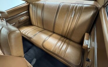 Plymouth-Road-runner-1970-Ivy-Green-Metallic-Tan-48