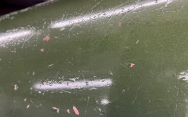 Plymouth-Road-runner-1970-Ivy-Green-Metallic-Tan-6