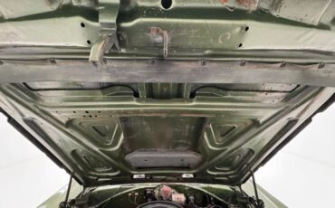 Plymouth-Road-runner-1970-Ivy-Green-Metallic-Tan-8