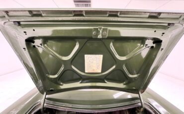 Plymouth-Road-runner-1970-Ivy-Green-Metallic-Tan-9