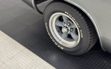 Plymouth-Road-runner-1974-Silver-Frost-Metalli-Black-12