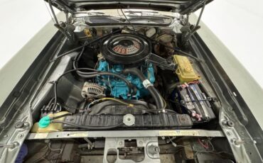 Plymouth-Road-runner-1974-Silver-Frost-Metalli-Black-29