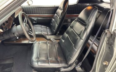 Plymouth-Road-runner-1974-Silver-Frost-Metalli-Black-36