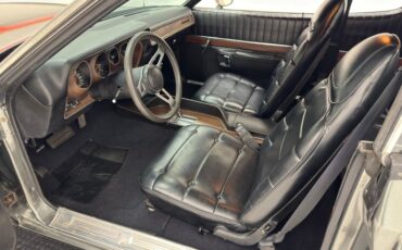 Plymouth-Road-runner-1974-Silver-Frost-Metalli-Black-37