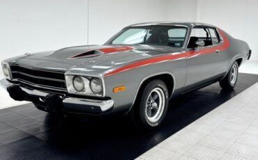 Plymouth-Road-runner-1974-Silver-Frost-Metalli-Black-48