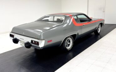 Plymouth-Road-runner-1974-Silver-Frost-Metalli-Black-5