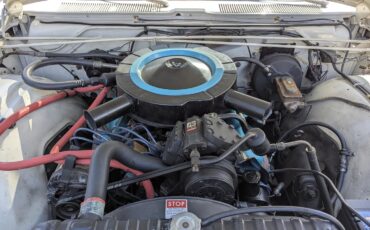 Plymouth-Sport-fury-1967-14