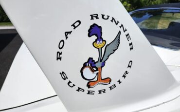 Plymouth-Superbird-1970-Alpine-White-Black-10