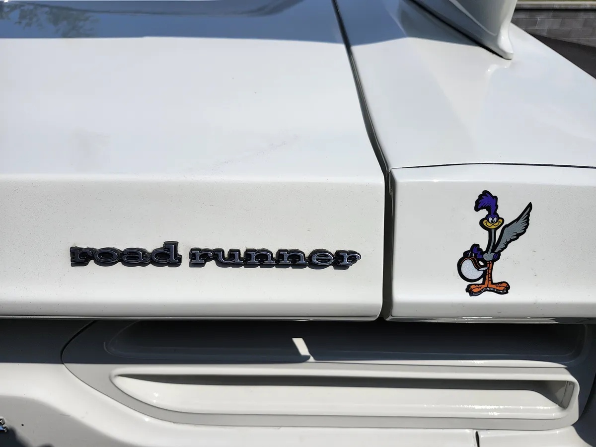 Plymouth-Superbird-1970-Alpine-White-Black-8