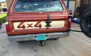 Plymouth-Trail-Duster-1977-SUV-3