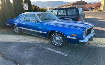 Plymouth-fury-1977-blue-6