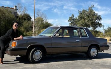 Plymouth-reliant-1985-brown-1