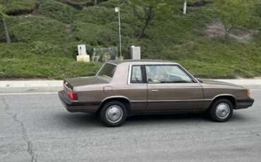 Plymouth-reliant-1985-brown