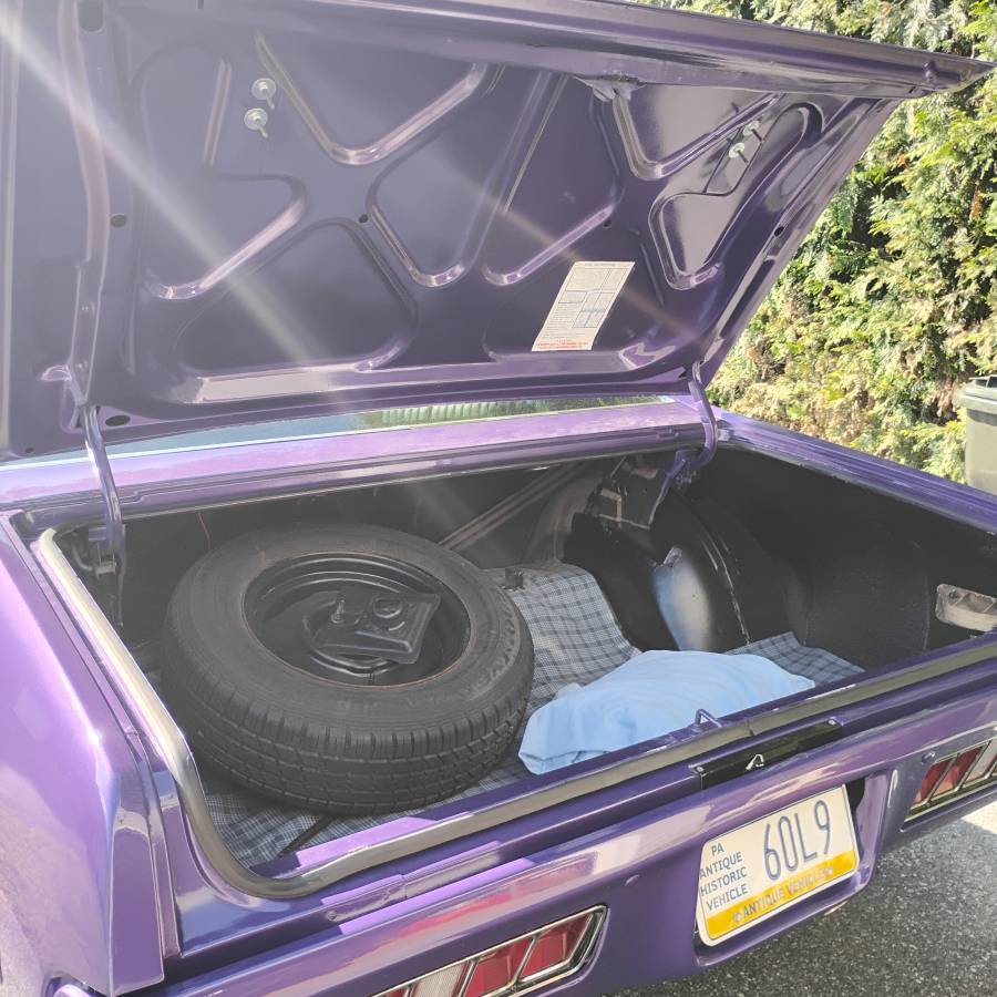 Plymouth-roadrunner-1971-purple-17