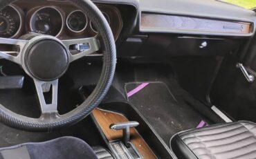 Plymouth-roadrunner-1971-purple-19