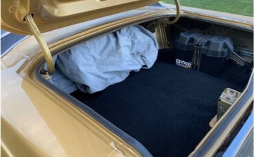 Plymouth-scamp-1971-6
