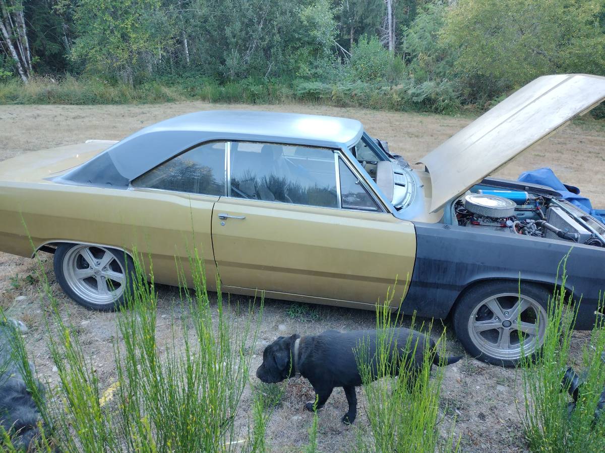 Plymouth-scamp-1971-grey-4