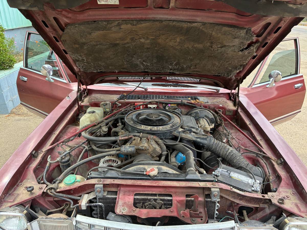 Plymouth-volare-1978-7