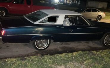 Pontiac-Catalina-1975-BlueWhite-top-White-2