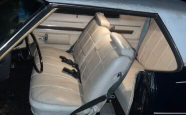 Pontiac-Catalina-1975-BlueWhite-top-White-3