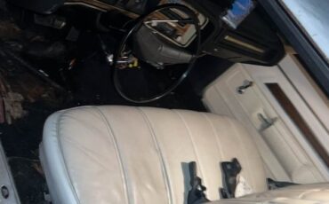 Pontiac-Catalina-1975-BlueWhite-top-White-4
