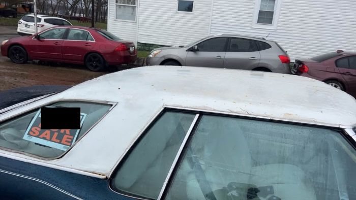 Pontiac-Catalina-1975-BlueWhite-top-White-6