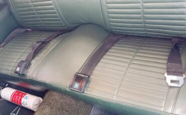 Pontiac-Firebird-1969-Limelight-Green-Green-19