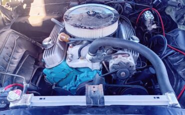 Pontiac-Firebird-1969-Limelight-Green-Green-4