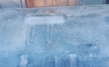 Pontiac-Firebird-1969-Limelight-Green-Green-9